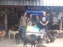 20261007120737.jpg - ทุกการให้..ยิ่งใหญ่เสมอ ขอบพระคุณผู้ใจบุญที่ร่วมบริจาคอาหารและสิ่งของ (30 ก.ย. 69 ชุดที่ 1) | https://www.santisookdogandcat.org