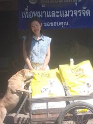 20261007120759.jpg - ขอบคุณทุกการให้ ขอบพระคุณผู้ใจบุญที่ร่วมบริจาคอาหาร เวชภัณฑ์ และสิ่งของ (6 ต.ค. 69 ชุดที่ 1) | https://www.santisookdogandcat.org