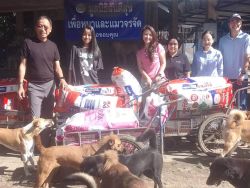 20261007120801.jpg - ขอบคุณทุกการให้ ขอบพระคุณผู้ใจบุญที่ร่วมบริจาคอาหาร เวชภัณฑ์ และสิ่งของ (6 ต.ค. 69 ชุดที่ 2) | https://www.santisookdogandcat.org