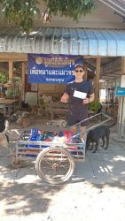 20261007120805.jpg - ขอบคุณทุกการให้ ขอบพระคุณผู้ใจบุญที่ร่วมบริจาคอาหาร เวชภัณฑ์ และสิ่งของ (6 ต.ค. 69 ชุดที่ 2) | https://www.santisookdogandcat.org