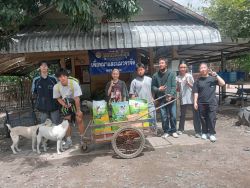 20261007120807.jpg - ขอบคุณทุกการให้ ขอบพระคุณผู้ใจบุญที่ร่วมบริจาคอาหาร เวชภัณฑ์ และสิ่งของ (6 ต.ค. 69 ชุดที่ 2) | https://www.santisookdogandcat.org
