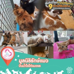 272027625_5214648981880081_4168203518606073610_n.jpg - เริ่มต้นปีให้ปัง! ด้วยการทำบุญ 9 สถานที่รับบริจาค เพื่อช่วยเหลือน้องหมาน้องแมว ผ่าน PetPaw Application | https://www.santisookdogandcat.org