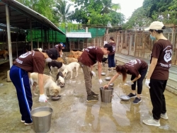 291975148_973085570031317_1551478187752071207_n.jpg - Thank you Ambassador Bilingual School For Volunteers Big cleaning | https://www.santisookdogandcat.org