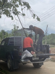 441884789_782973060648057_7297469858020764282_n.jpg - TNR Spay and neutering Dogs and Cats in Pai Mae Hong Son Thailand | https://www.santisookdogandcat.org