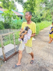 450381310_804543198491043_2440850724108607912_n.jpg - TNR Spay/neuter Dogs and cats Chaing Mai Thailand | https://www.santisookdogandcat.org