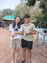 455803707_826816796263683_1437408936041130883_n.jpg - Happy time happy adoption | https://www.santisookdogandcat.org