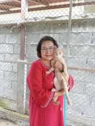 455816484_826816642930365_4128376710142414626_n.jpg - Happy time happy adoption | https://www.santisookdogandcat.org