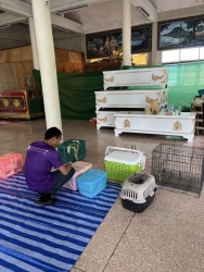 456922931_833042545641108_3067578080952410502_n.jpg - 101 cats Spay/neuter เสาร์ที่ 24 สิงหาคม ที่ผ่านมาทางมูลนิธิสันติสุขเพื่อสุนัขและแมวจรจัด ได้พาทีมลง | https://www.santisookdogandcat.org