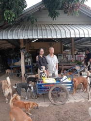 457191518_835682845377078_8542493918177494507_n.jpg - Thank you for all donations ผู้ให้ยิ่งใหญ่เสมอ | https://www.santisookdogandcat.org