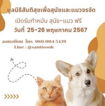 ทำหมันสุนัขและแมวจรจัด(ฟรี) เชียงใหม่ ทางมูลนิธิสันติสุขเพื่อสุนัขและแมวจรจัด เปิดทำหมันให้แก่สุนัขและแมว เพื่อหยุดการแพร่ขยายพันธุ์ เป็นสาเหตุ