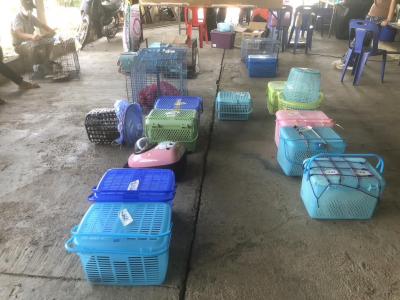 TNR Spay and neuter 165 animals โครงการทำหมันฟรี (ที่เสร็จแล้ว)ให้สุนัขและแมวจรจัด