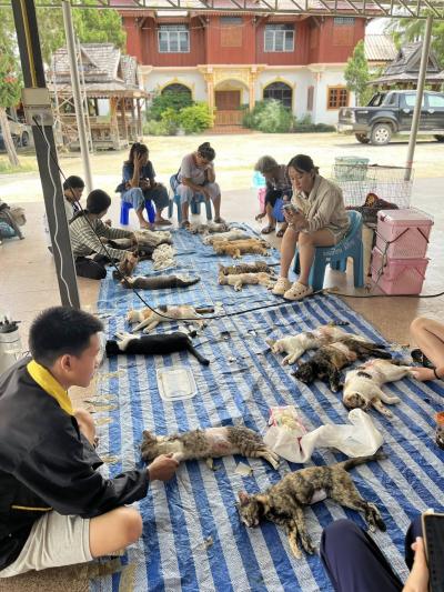 โครงการจับ-ทำหมัน-ปล่อย (Trap Neuter and Return) ทำหมันทั้งหมด 143 ตัว