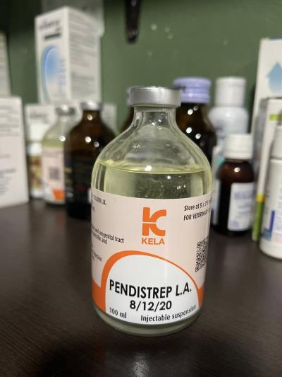 รับบริจาคเวชภัณฑ์ ✅ ทางมูลนิธิสันติสุขเพื่อสุนัขและแมวจรจัด ขอรับบริจาคเวชภัณฑ์ยา อุปกรณ์ที่จำเป็นและใช้จำนวนมาก เป็นเวชภัณฑ์อุปกรณ์ที่ท่านสามารถซื้อไ