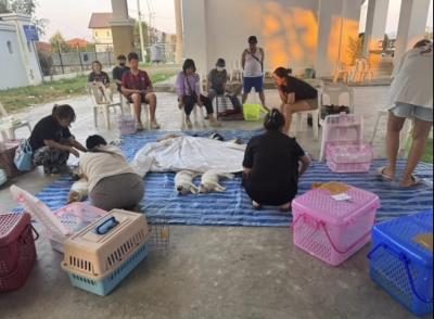 เสร็จสิ้นด้วยดี โครงการทำหมัน จังหวัดลำปาง เทศบาลเขลางค์นคร เมื่อวันเสาร์-อาทิตย์ที่ผ่านมา