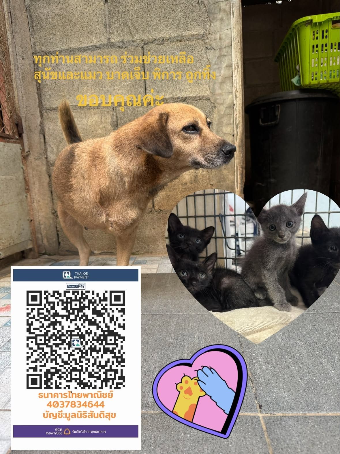 ทุกชีวิต ทุกกิจกรรมที่เราทำ ร่วมช่วยเหลือสุนัขและแมว บาดเจ็บ พิการ ป่วย และทำหมัน