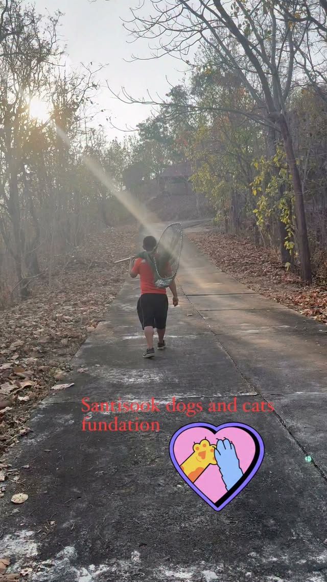 สวิงอีกหนึ่งอุปกรณ์จับสุนัขเพื่อทำหมัน ทุกการลงพื้นที่ของทีมงานไม่มีวันหยุด